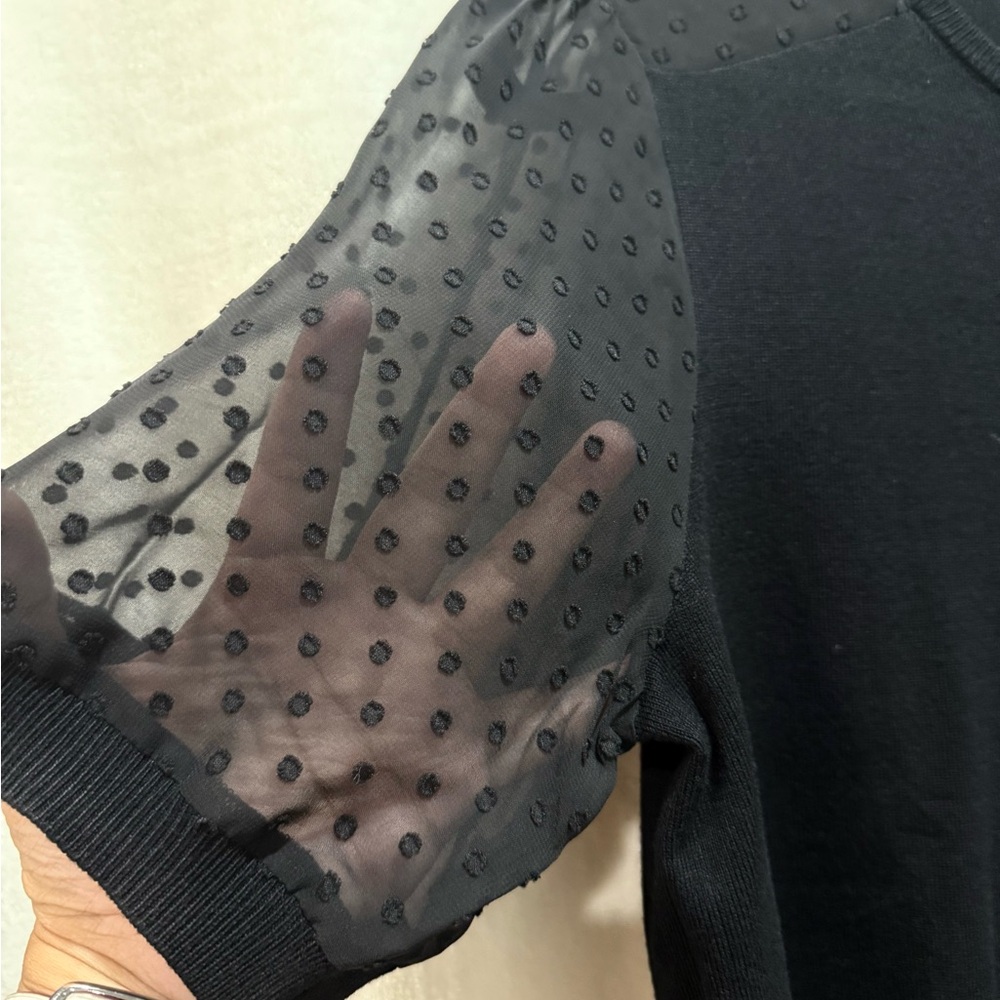 Adrianna Papell Black Top with Sheer Sleeves - Picture 6 of 6